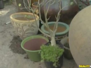 Ali si lahko dal vaš kroglični na a cactus