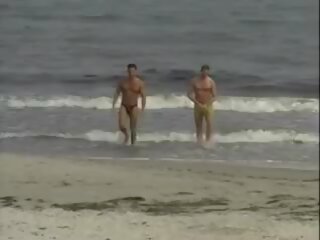 Επί ο παραλία με εκλεκτοί σκύλες
