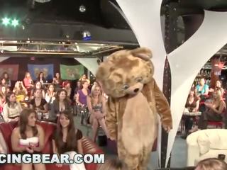 Χορός αρκούδα - άγριο πάρτι κορίτσια πιπιλίζουν μακριά από μεγάλος μέλος αρσενικός διαβρωτικά!