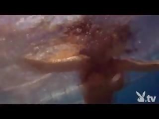 عري الفتيات في ل shark قفص!